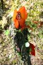 Fleurs des Rues 4 * 4368 x 2912 * (6.14MB)